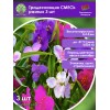 Традесканция СМЕСЬ разных 3 шт