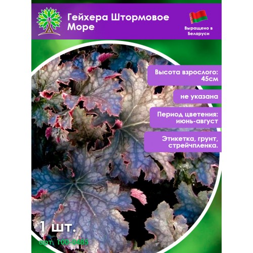 Гейхера Штормовое Море