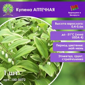 Купена АПТЕЧНАЯ
