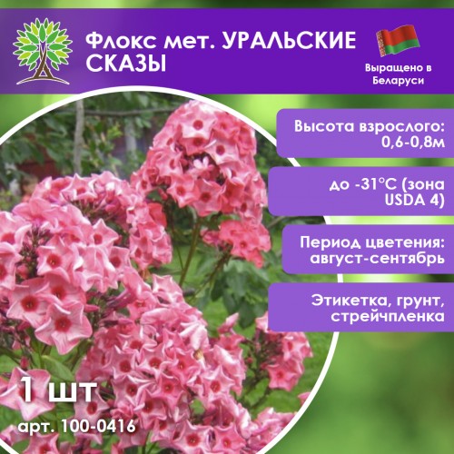 Флокс мет. УРАЛЬСКИЕ СКАЗЫ