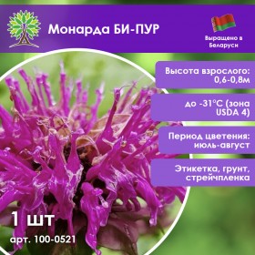 Монарда БИ-ПУР