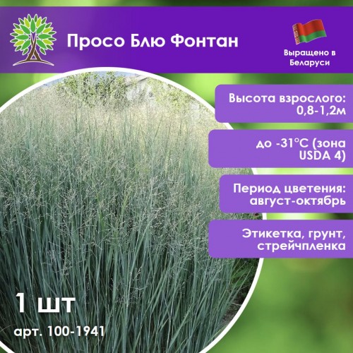 Просо Блю Фонтан