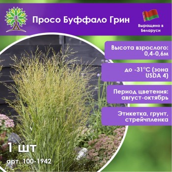 Просо Буффало Грин