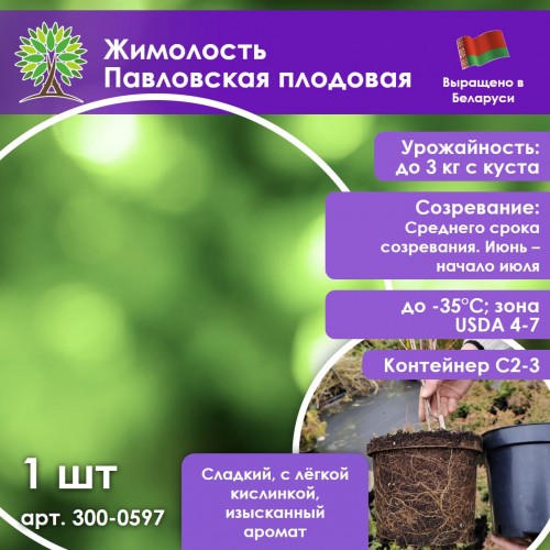 Жимолость Павловская плодовая