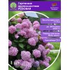 Гортензия крупнолистная РОЗОВАЯ