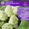 Гортензия метельчатая Литл Споки