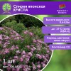 Спирея японская КРИСПА