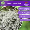 Спирея ГРЕФШТЕЙМ