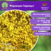 Форзиция Тарандт