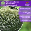 Лапчатка белая Абботсвуд