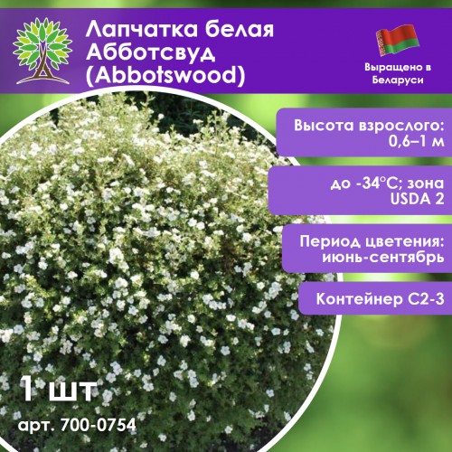 Лапчатка белая Абботсвуд