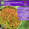 Спирея японская Голд Флейм