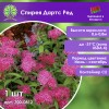 Спирея Дартс Ред