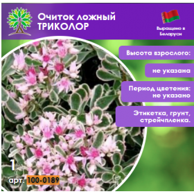 Очиток ложный ТРИКОЛОР