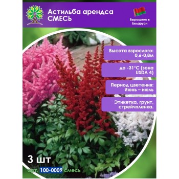 Астильба арендса СМЕСЬ
