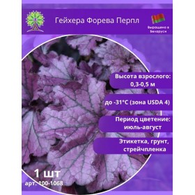Гейхера Форева Перпл