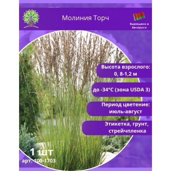 Молиния Торч