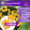 Гелениум ЖЕЛТЫЙ (СЕМЕНА) - саженцы из питомника