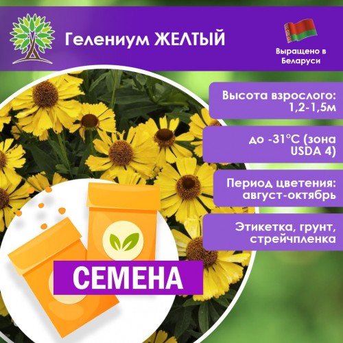 Гелениум ЖЕЛТЫЙ (СЕМЕНА) - саженцы из питомника