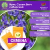 Ирис сибирский Салем Витч (1шт.) (СЕМЕНА) - саженцы из питомника