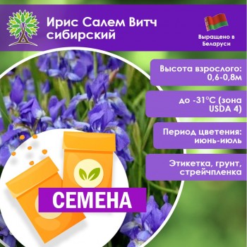 Ирис сибирский Салем Витч (1шт.) (СЕМЕНА)