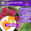 Лилейник ЛИТЛ ВАЙН КАП (СЕМЕНА) - саженцы из питомника Лилейник ЛИТЛ ВАЙН КАП (СЕМЕНА) - саженцы из питомника