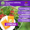 Лилейник ХАЙЛЕНД ЛОРД (СЕМЕНА) - саженцы из питомника Лилейник ХАЙЛЕНД ЛОРД (СЕМЕНА) - саженцы из питомника