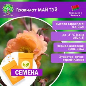 Гравилат МАЙ ТЭЙ (СЕМЕНА)