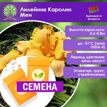 Лилейник Каролин Мен (СЕМЕНА)