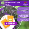 Флокс Птица Сирин мет. (СЕМЕНА) - саженцы из питомника