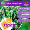Очиток Тачдаун Бриз (СЕМЕНА) - саженцы из питомника