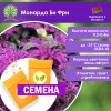Монарда Би Фри (СЕМЕНА) - саженцы из питомника