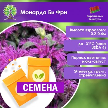 Монарда Би Фри (СЕМЕНА)