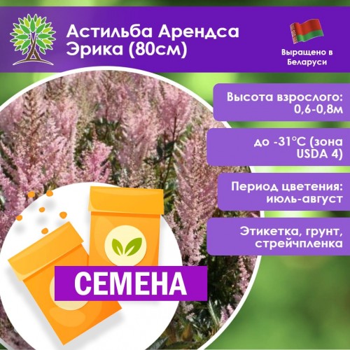 Астильба арендса «Эрика» (СЕМЕНА) - саженцы из питомника