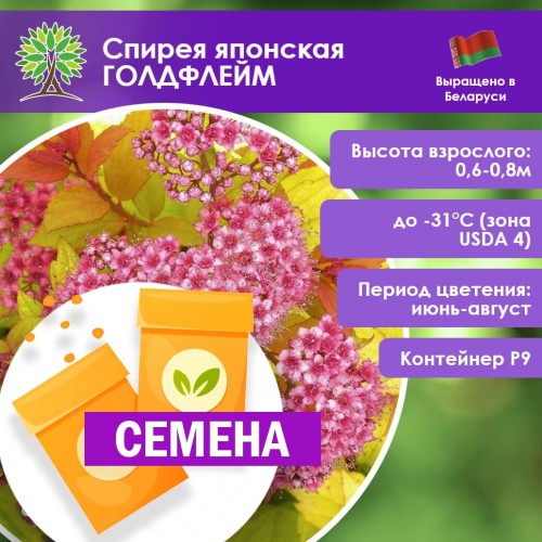 Спирея японская ГОЛДФЛЕЙМ (СЕМЕНА) - саженцы из питомника