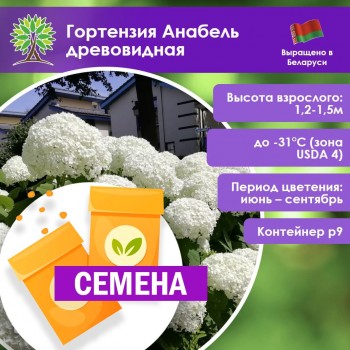 Гортензия Анабель древовидная (СЕМЕНА)