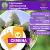 Гортензия метельчатая Грандифлора (СЕМЕНА) - саженцы из питомника