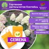 Гортензия метельчатая Коктейль (СЕМЕНА) - саженцы из питомника