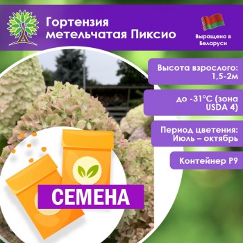 Гортензия метельчатая Пиксио (СЕМЕНА)