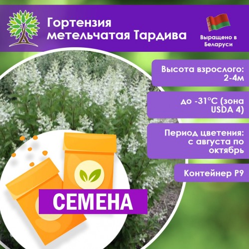 Гортензия метельчатая Тардива (СЕМЕНА) - саженцы из питомника