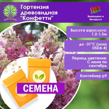 Гортензия древовидная «Конфетти» (СЕМЕНА)