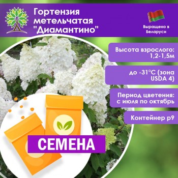Гортензия метельчатая «Диамантино» (СЕМЕНА)