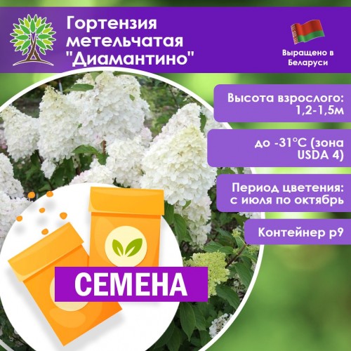 Гортензия метельчатая «Диамантино» (СЕМЕНА) - саженцы из питомника