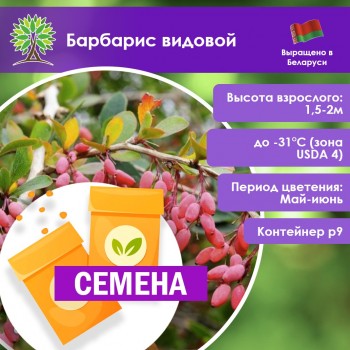 Барбарис видовой (СЕМЕНА) Барбарис видовой (СЕМЕНА)