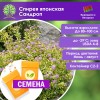 Спирея японская Сандроп (СЕМЕНА) - саженцы из питомника Спирея японская Сандроп (СЕМЕНА) - саженцы из питомника