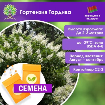 Гортензия Тардива (СЕМЕНА)