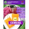 Астильба арендса СМЕСЬ (СЕМЕНА) - саженцы из питомника