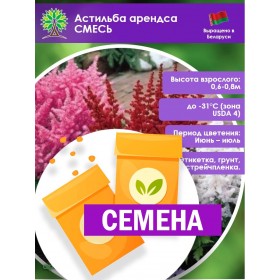 Астильба арендса СМЕСЬ (СЕМЕНА)