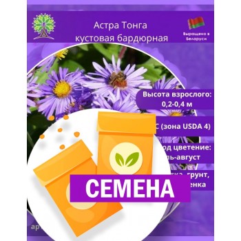 Астра кустовая «Тонга» бардюрная (СЕМЕНА)
