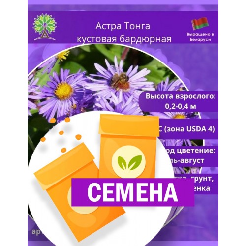 Астра кустовая «Тонга» бардюрная (СЕМЕНА) - саженцы из питомника